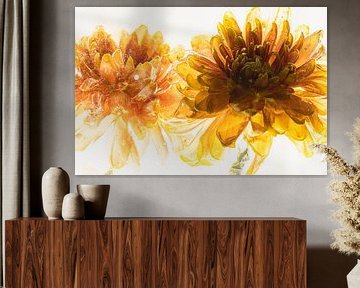 Chrysanthème orange en glace 3