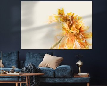 Chrysanthème orange en glace 1