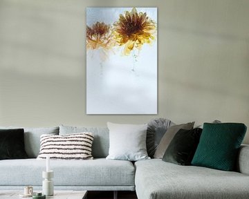 Chrysanthème orange en glace 2