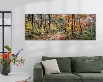 Herbst im Wald mit Nadelbäumen und Laubbäumen von eric van der eijk