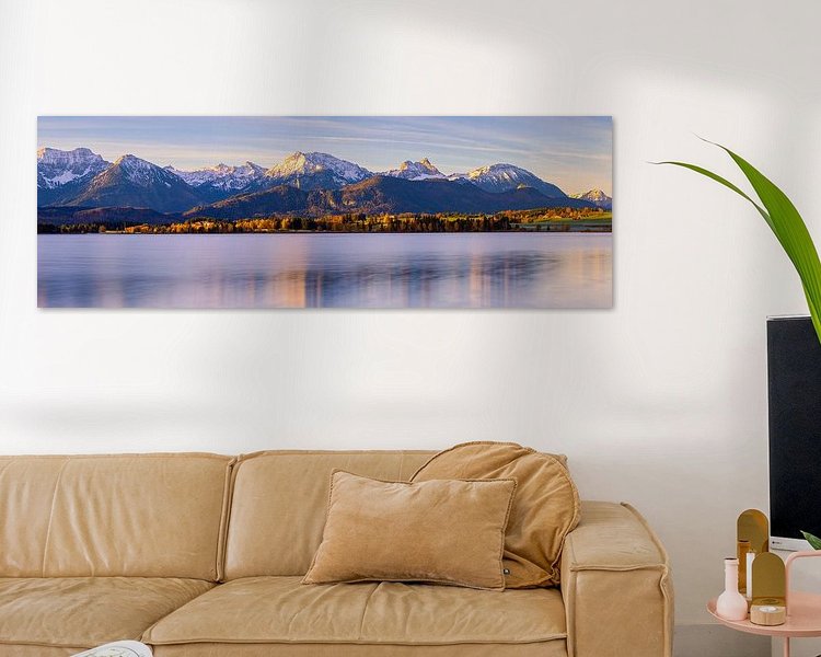 Aperçu de la chambre