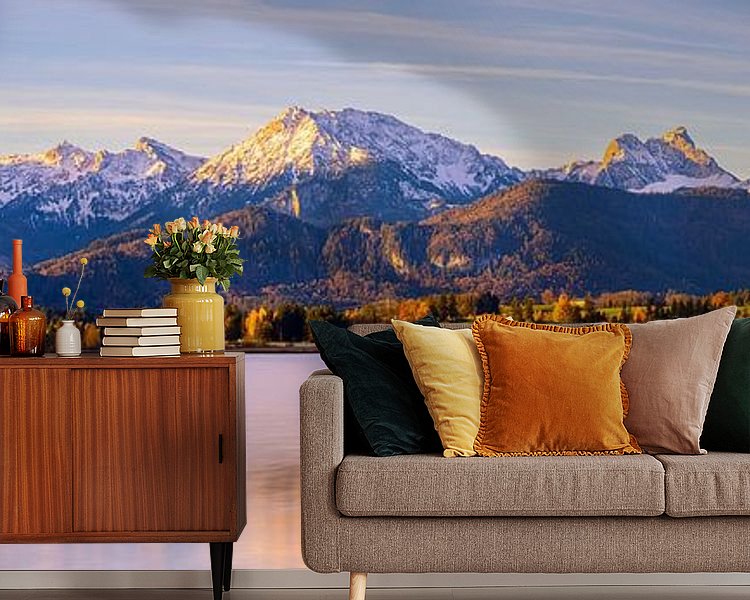 Aperçu de la chambre