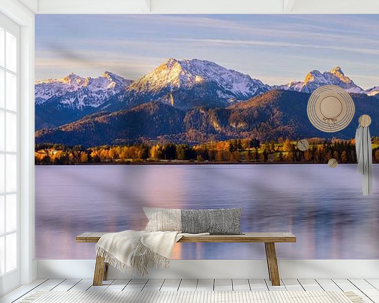 Aperçu de la chambre