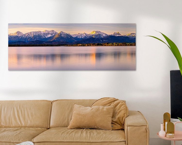 Aperçu de la chambre