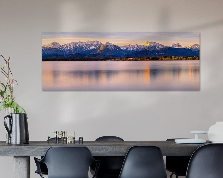 Aperçu de la chambre