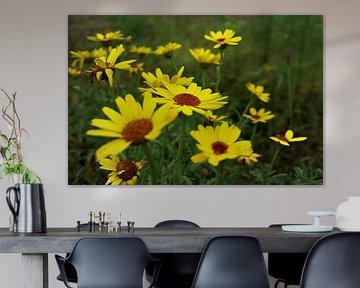 Yellow goosefoot by Jurjen Melinga