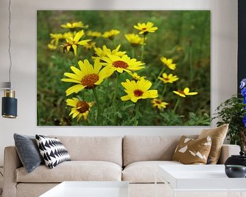 Yellow goosefoot by Jurjen Melinga