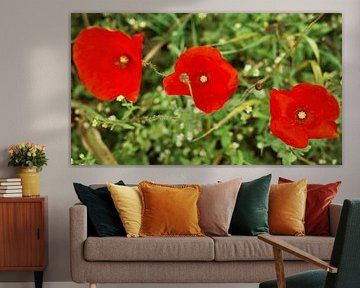 3 d'affilée sur Jurjen Melinga