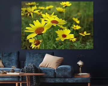 Yellow goosefoot by Jurjen Melinga