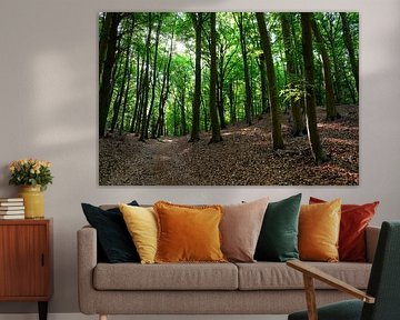 Maiwald von Ostsee Bilder