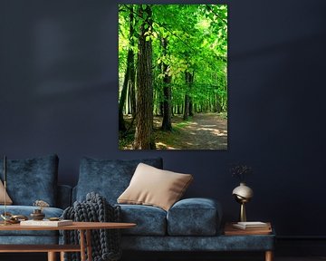 Im Frühlingswald von Ostsee Bilder