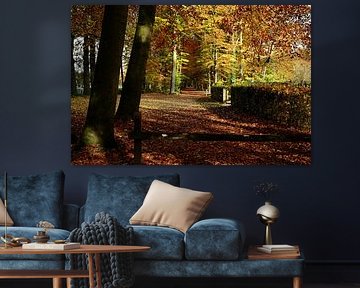 Des couleurs d'automne magiques