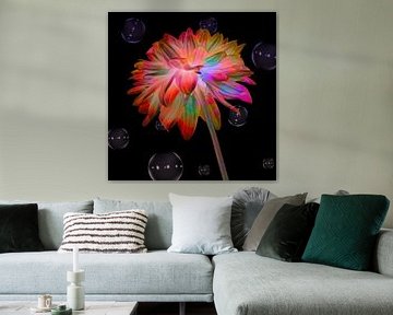 Dahlia multicoloured art I by Klaartje Majoor