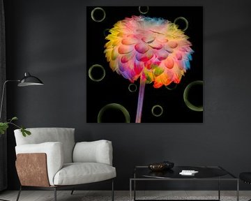 Dahlia multicoloured art II by Klaartje Majoor