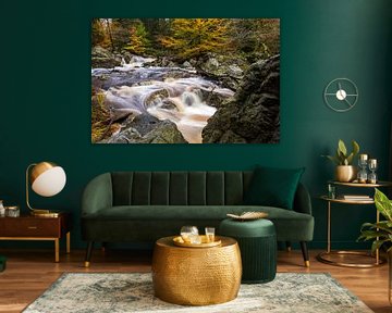 Autumn colours in the Ardennes by Elise van den Boogaart