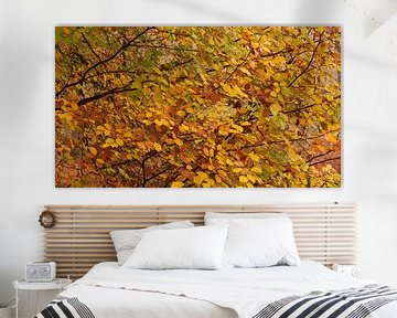 Autumn leaves by René Jonkhout