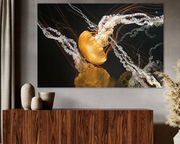 Floating jellyfish at Singapore's Oceanarium