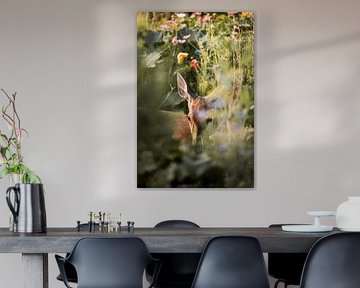 Hert in Bloemenveld Verborgen Zomerstilte