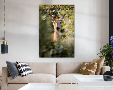 Hert in Bloemenweelde Zomerportret van de Stilte