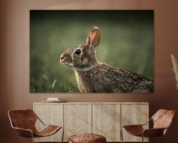 Konijn in Grasportret Natuurlijke Waakzaamheid