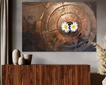 Rustic hob with flowers by Rüdiger Rohmann