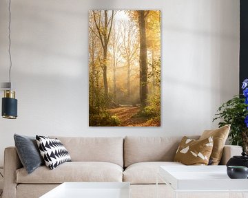 Autumn Light van Nicola Mathu