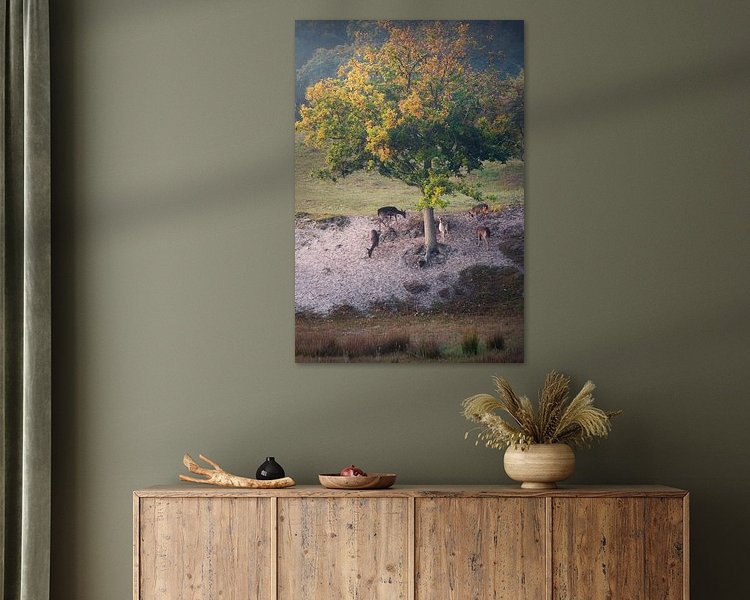 Aperçu de la chambre