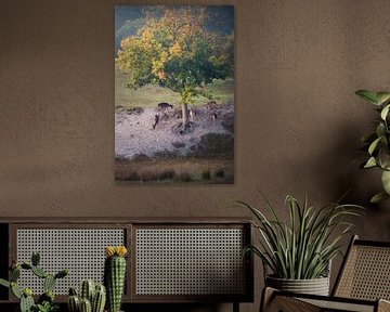 Cerf sous un chêne aux couleurs de l'automne sur Thom Brouwer