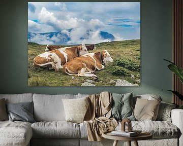 Vaches sur l'Alpe de Siusi sur Dirk Rüter