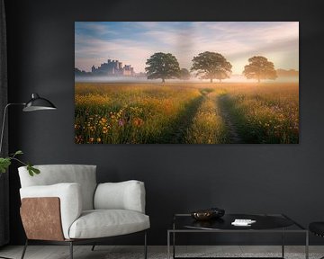 Castle Landscape with Wildflower Meadow and Trees at Dawn by Markus Gann