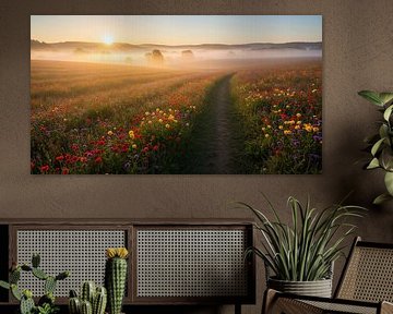 Flower Field with Dirt Path at Sunrise by Markus Gann