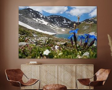 Les montagnes majestueuses autour du Piz Rims dans le Tyrol du Sud sur Miriam Schwarzfischer Fotografie