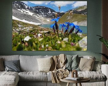 Les montagnes majestueuses autour du Piz Rims dans le Tyrol du Sud sur Miriam Schwarzfischer Fotografie