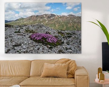 Les montagnes majestueuses autour du Piz Rims dans le Tyrol du Sud sur Miriam Schwarzfischer Fotografie
