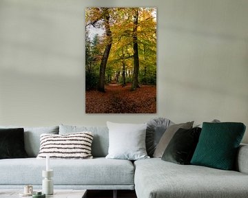 Forest Trail in Autumn by Franke de Jong