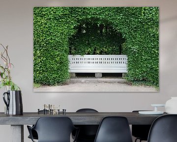 A bench in the countryside