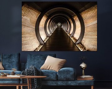 La lumière au bout du tunnel sur Rüdiger Rohmann