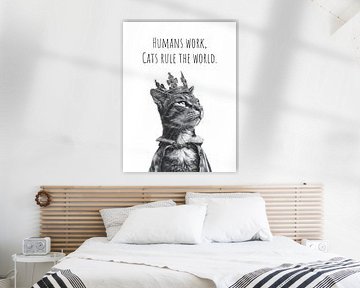 Coole Katze - Der Herrscher