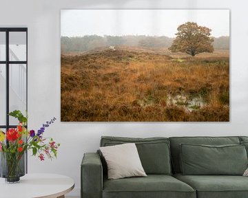 Paysage d'automne de la Drenthe avec brouillard sur Dennis Venema