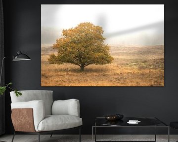 A tree on the moor in autumn by Dennis Venema