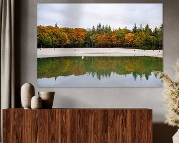 Herfstkleuren met reflectie in water