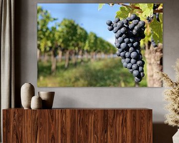 Ein ganz besonderer Jahrgang von Rüdiger Rebmann