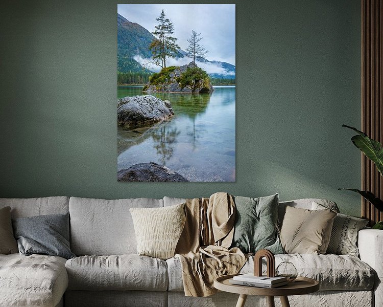 Aperçu de la chambre