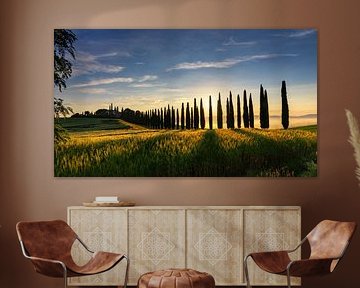 Tuscany in the morning sun, Italy by Adelheid Smitt