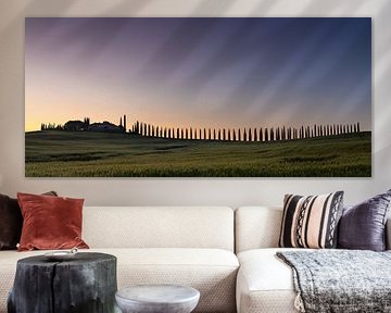 Morgendliche Silhouette von Zypressen in der Toskana, Italien von Adelheid Smitt