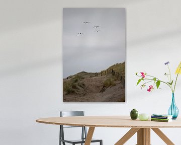 l'été est parti sur Sebastian Stef