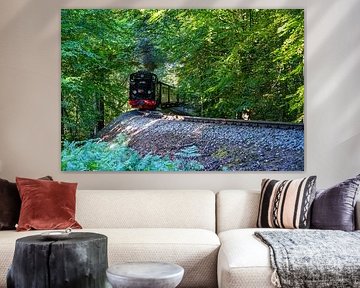 Un regard sur le Racing Roland sur Andreas Völkel