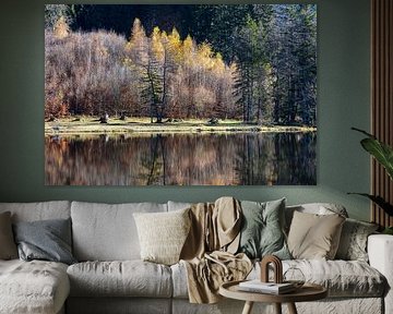 Couleurs d'automne dans le miroir du silence sur Walter G. Allgöwer