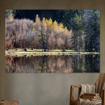 Autumn colours in the mirror of silence