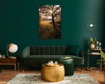 Warm Autumn feelings van Rick Roeven